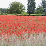 Amazing Renovated Loire Valley Feriehus La Pellerine (Maine-et-Loire)