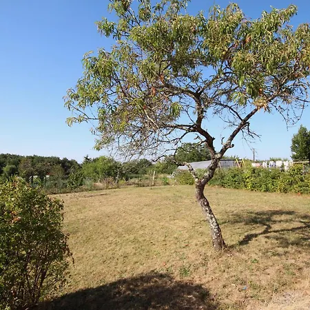 Amazing Renovated Loire Valley 別荘 *