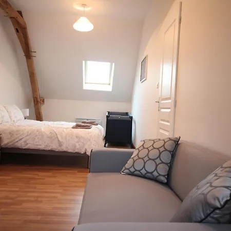 Amazing Renovated Loire Valley