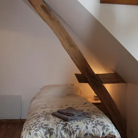 Amazing Renovated Loire Valley *